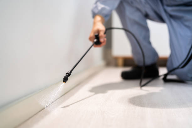 Licensed Pest Control service in Comanche County County, TX - Nex Pest Control