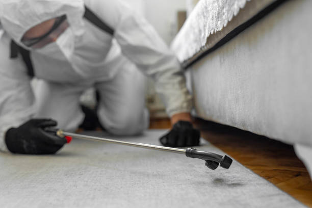 Professional Pest Control technician working in Comanche County County, TX